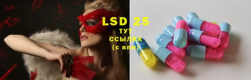 LSD-25 экстази ecstasy  OMG ссылка  Камышлов 