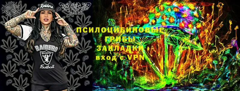 Галлюциногенные грибы прущие грибы  blacksprut онион  Камышлов 